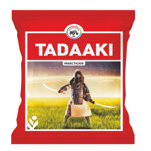 Tadaaki