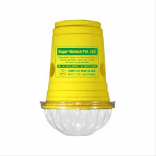 Fruit Fly Trap Glass