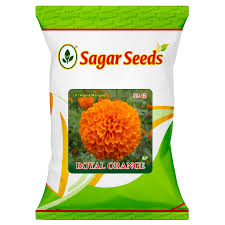 Sagar Royal Orange